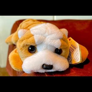 Wrinkles the Dog